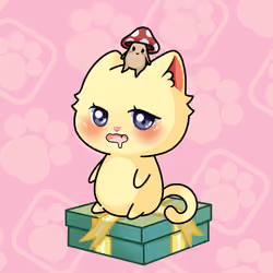 Cupcat Kitten 3115