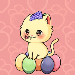 Cupcat Kitten 8610