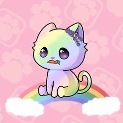 Cupcat Kitten 3571
