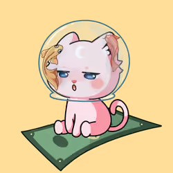 Cupcat Kitten 3647