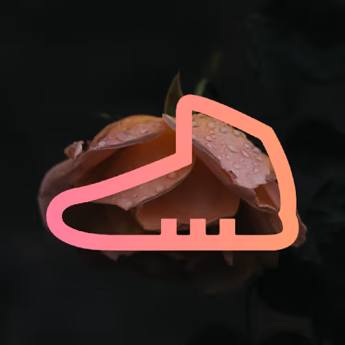 Item #17 Media