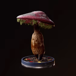 Fungi #5303