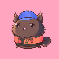 CC #5692