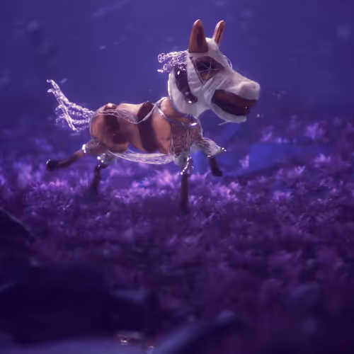 Space Donkey