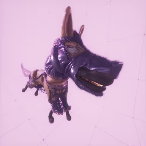 Space Donkey