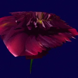 Flowerdrip