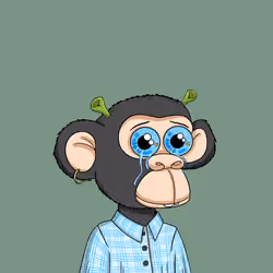 Baby Ape Club #4933