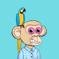 Baby Ape Club #2372
