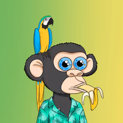 Baby Ape Club #4069