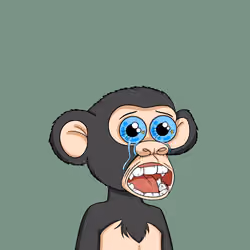 Baby Ape Club #2397
