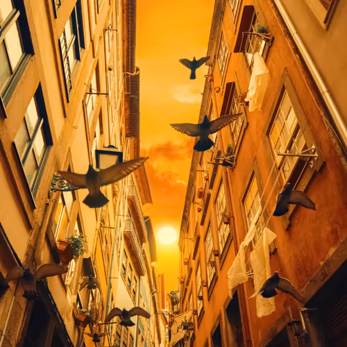 chronicles of existence