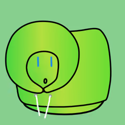 55