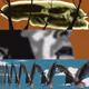 Sisyphus