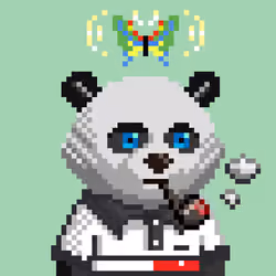 Yes Bear #04975