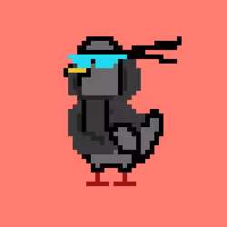CryptoPigeons #1989