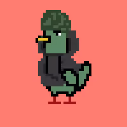 CryptoPigeons #1689