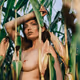 A summer day in the corn field