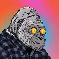 Silverback #17