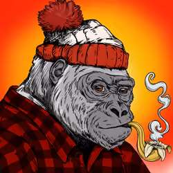 Silverback #138