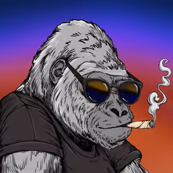 Silverback #420