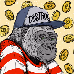 Silverback #404