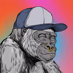 Silverback #392