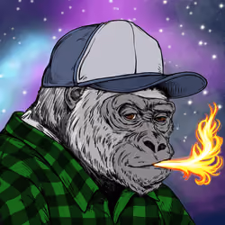 Silverback #205