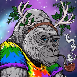 Silverback #129