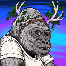 Silverback #204