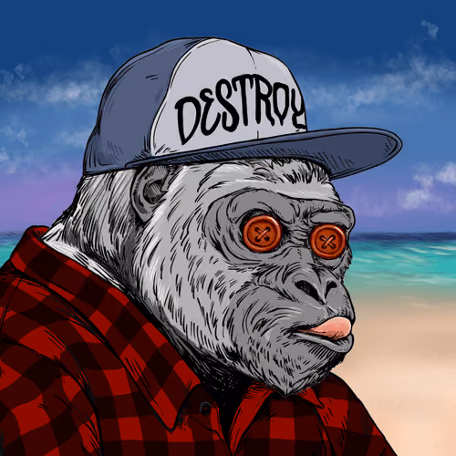 Silverback #466