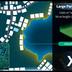 Extra Large #2758 (XL) parcel in Somnium Space