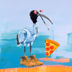 1131