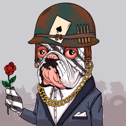 JunkYard Dog #5480