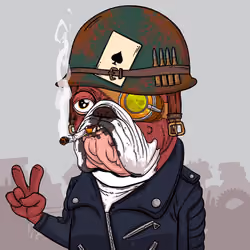 JunkYard Dog #5436