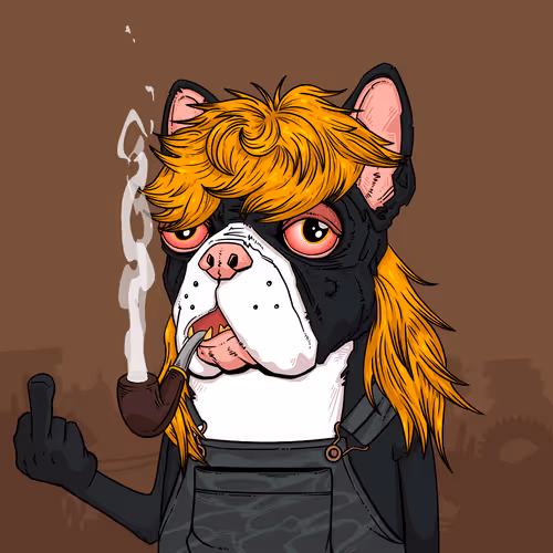 Junkyarddogs