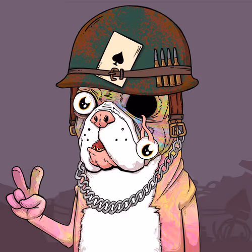 Junkyarddogs