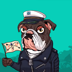 JunkYard Dog #2275