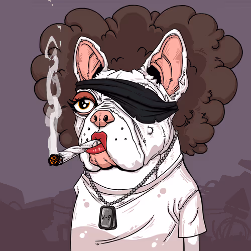 Junkyarddogs