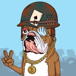 JunkYard Dog #4773
