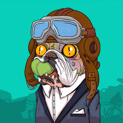 JunkYard Dog #1163