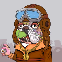 JunkYard Dog #6732