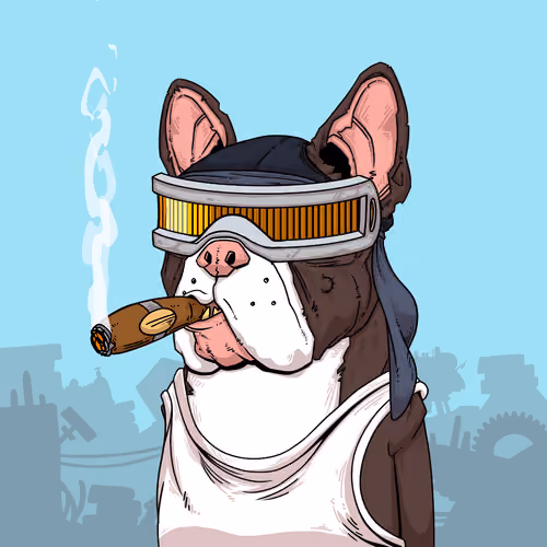 JunkYard Dog #2864