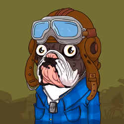 JunkYard Dog #1681