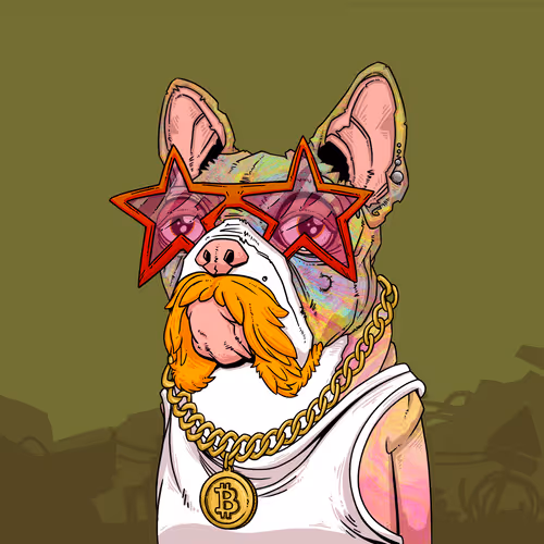 Junkyarddogs