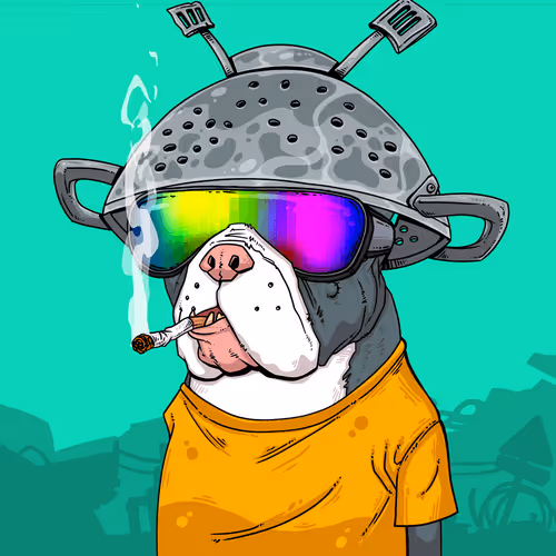 Junkyarddogs