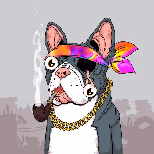 Junkyarddogs