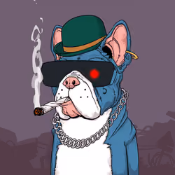 JunkYard Dog #6578