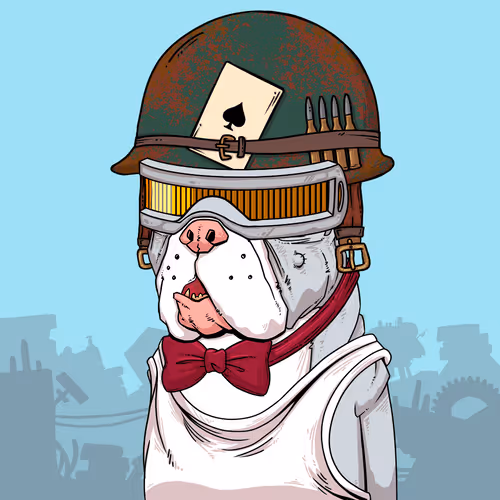 Junkyarddogs