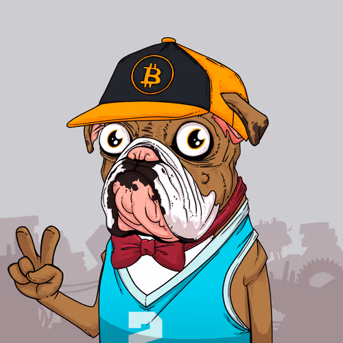 Junkyarddogs
