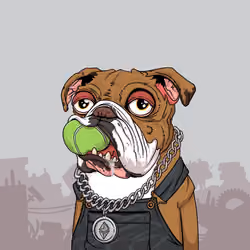JunkYard Dog #3055